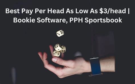 ace per head|Best Pay Per Head As Low As $3/head .